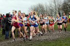 Senior girls 2019 New Balance English Schools Cross Country Champs, Temple Newsam, Leeds. Photo:  David T. Hewitson/Sports for All Pics
